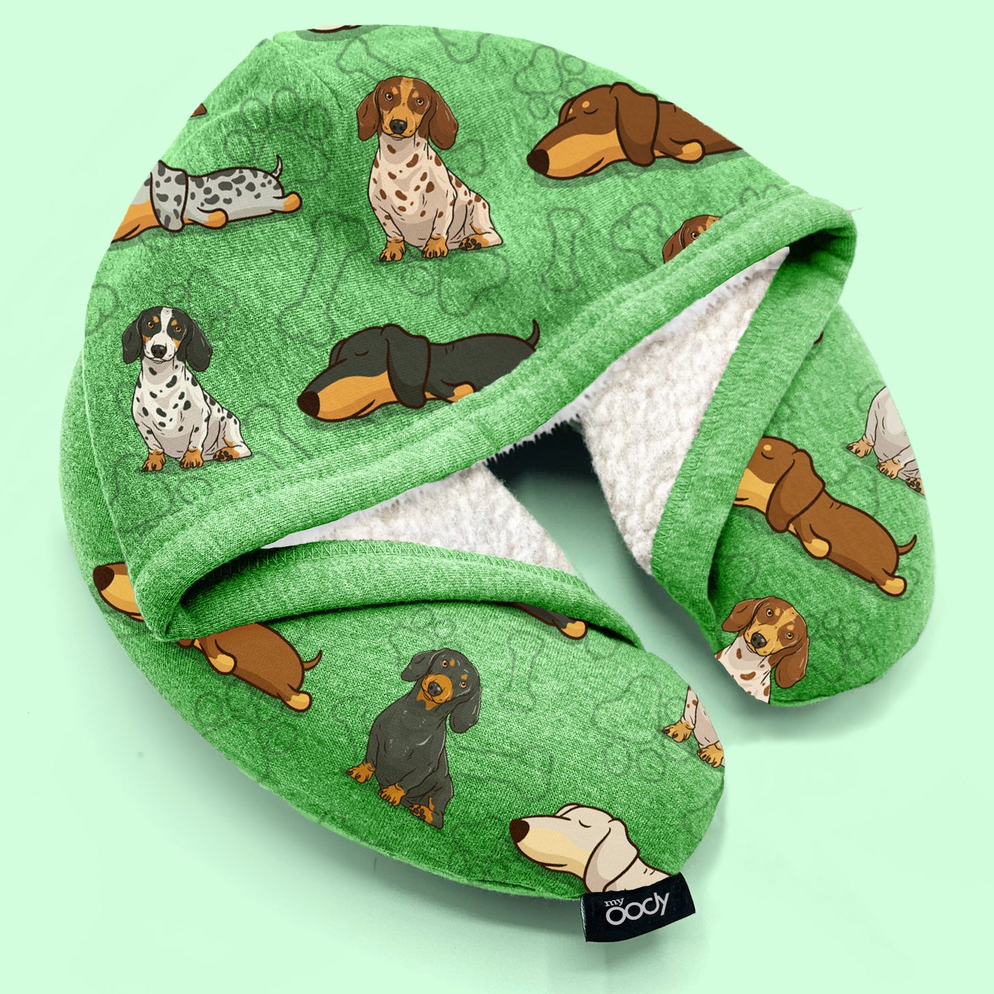 Dachshund OODY