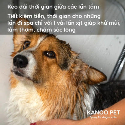 Oody Paws Mist